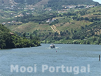Uitzicht op de rivier Douro
